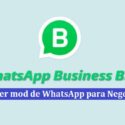 WhatsApp Business B58 APK v1 (Noviembre 2018)