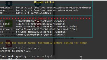 SMLoadr v1.25.0: Descarga música de Deezer en Windows, Linux o Mac